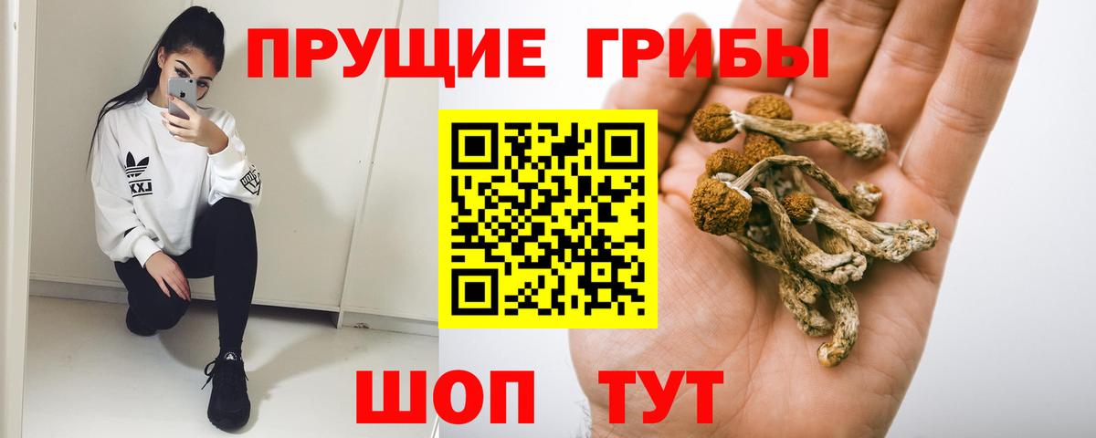 закладка  Галлюциногенные грибы Magic Shrooms  Вход с VPN  Галлюциногенные грибы GOLDEN TEACHER  Саяногорск 